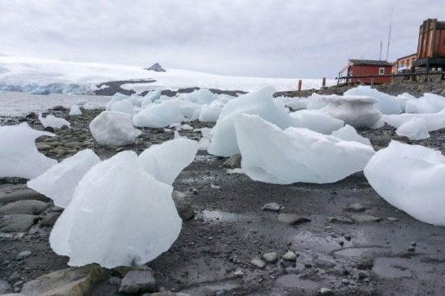 L’Antarctique approche du « point de basculement » de la fonte en raison du réchauffement des océans (étude)