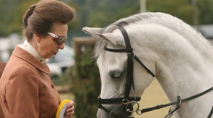 Princess Anne’s horse-riding passion costs her injuries in shocking details