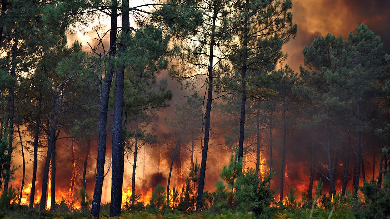 La chaleur gagne la France alors que le risque d’incendie méditerranéen augmente