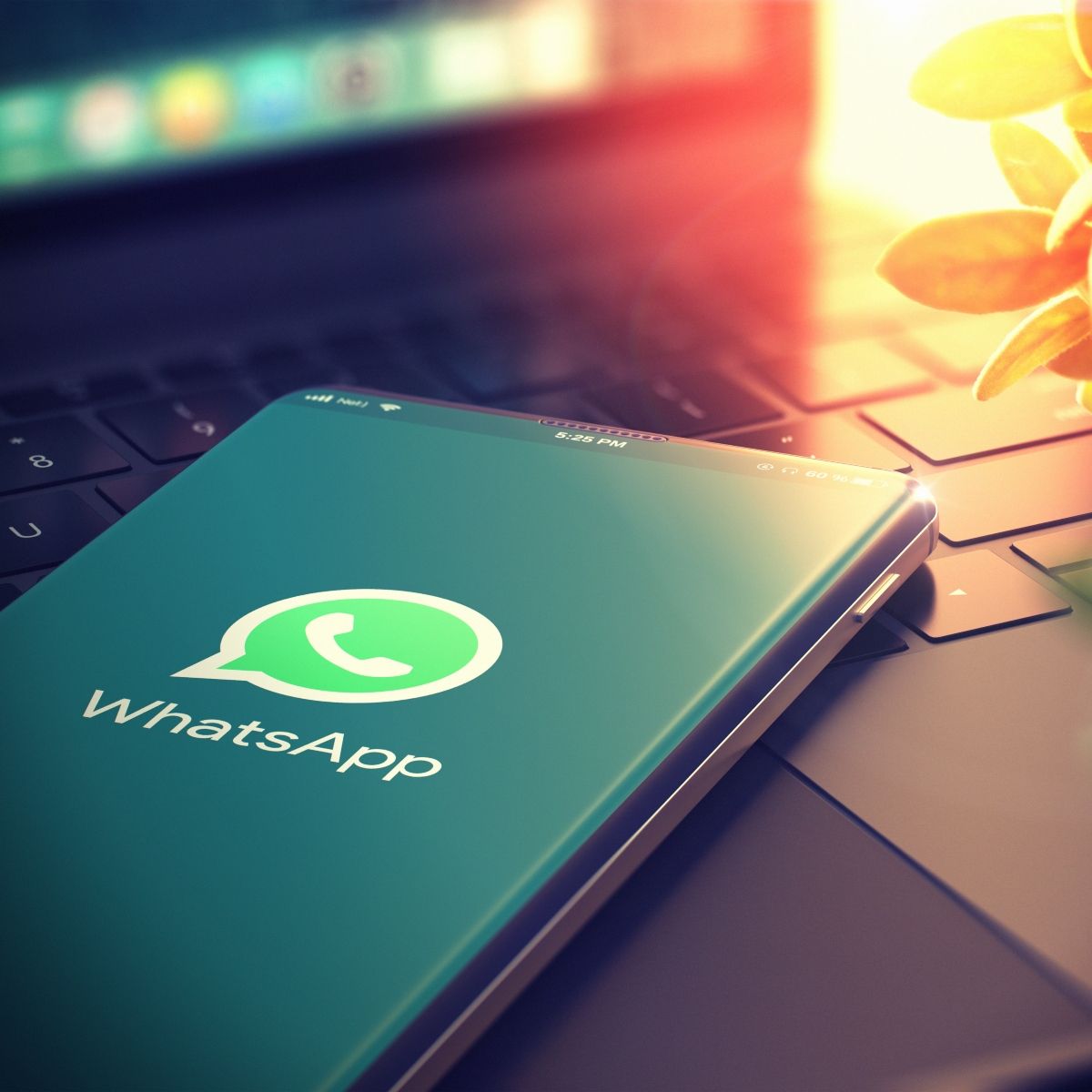 WhatsApp pourrait bientôt permettre aux utilisateurs de traduire des messages dans différentes langues