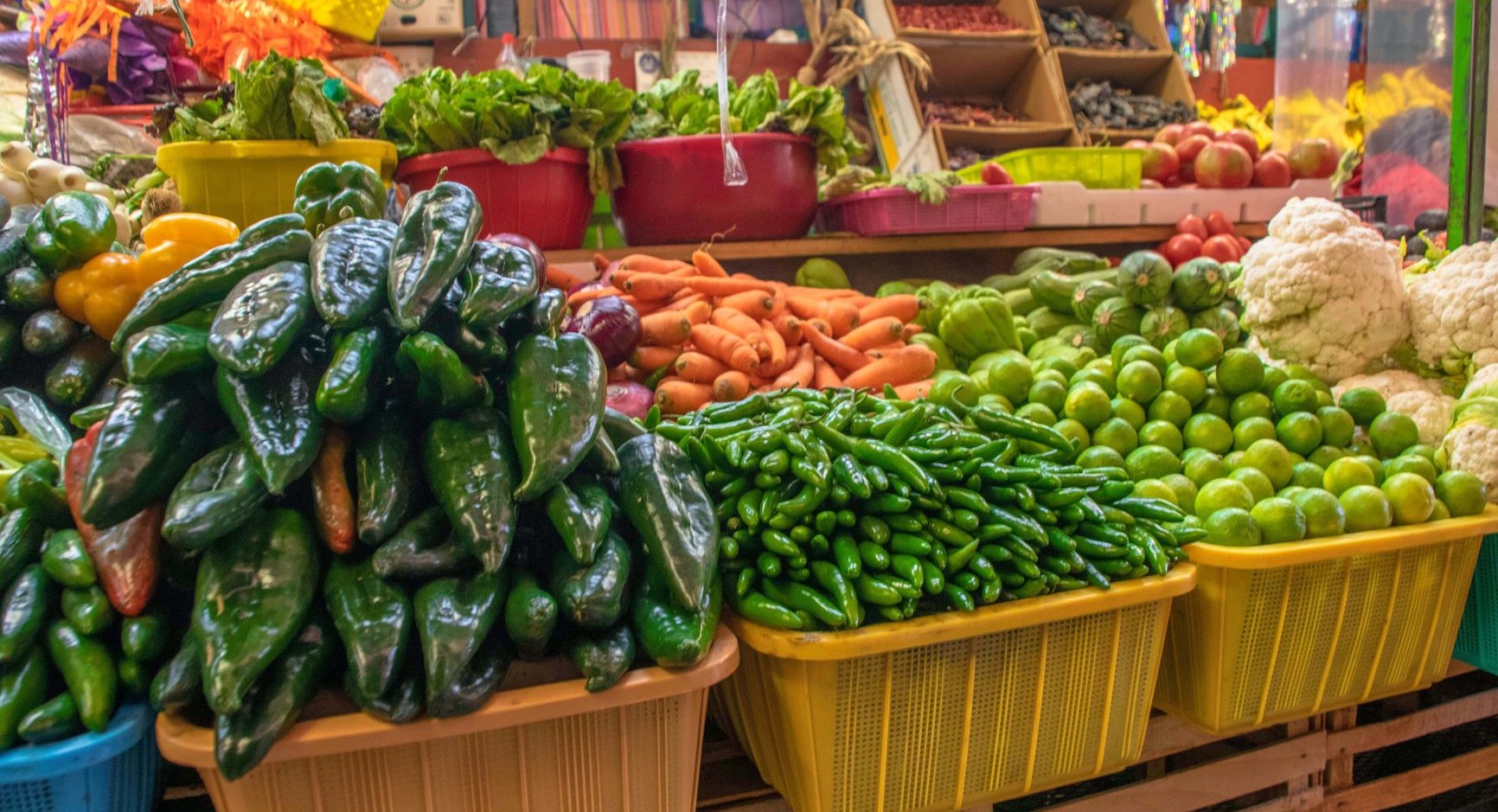 Le gouvernement du Pendjab va introduire l’agriculture coopérative pour stimuler la production de légumes