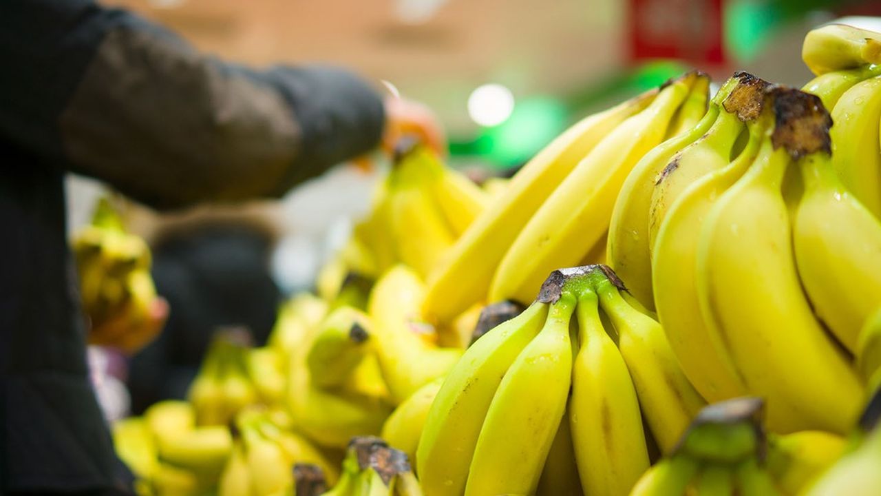 Les Bananes : Le Fruit Préféré des Français