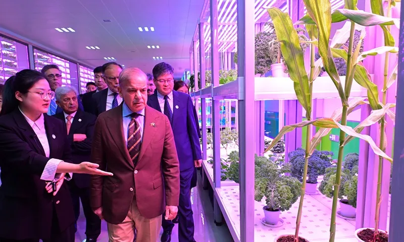 Le Pakistan envoie 100 jeunes diplômés agricoles en Chine pour une formation en agriculture de haute technologie 